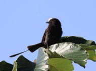 01-IMG_0130 01-IMG_0130