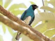 02-IMG_0450_Editada 02-IMG_0450_Editada