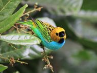 03-IMG_2225_Editada 03-IMG_2225_Editada