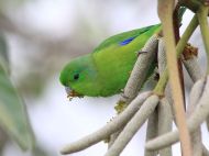 04-IMG_9594 04-IMG_9594